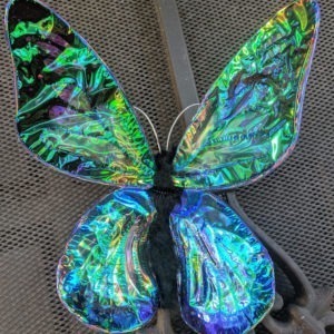 Iridescent Butterflies